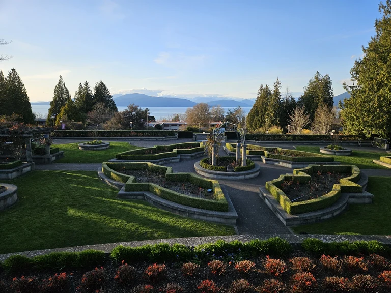 The Famous UBC Rose Garden