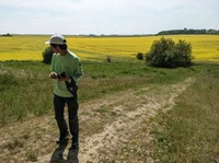 Exploring the divide