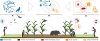 Figure_1_concept.png