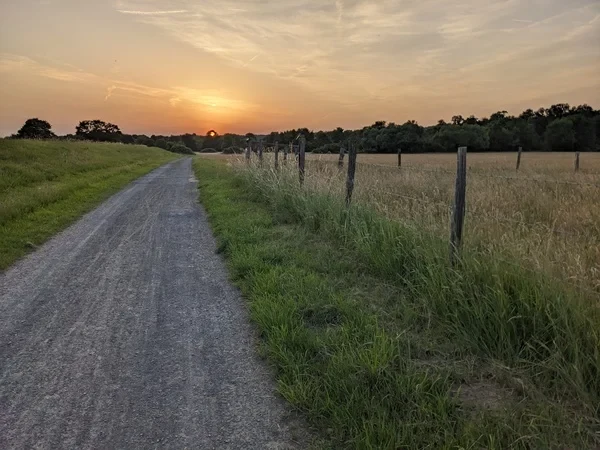 Eine Wissenschaftlerin und ein Wissenschaftler arbeiten hinter einer Glasfassade und mischen Chemikalien mit Großgeräten.