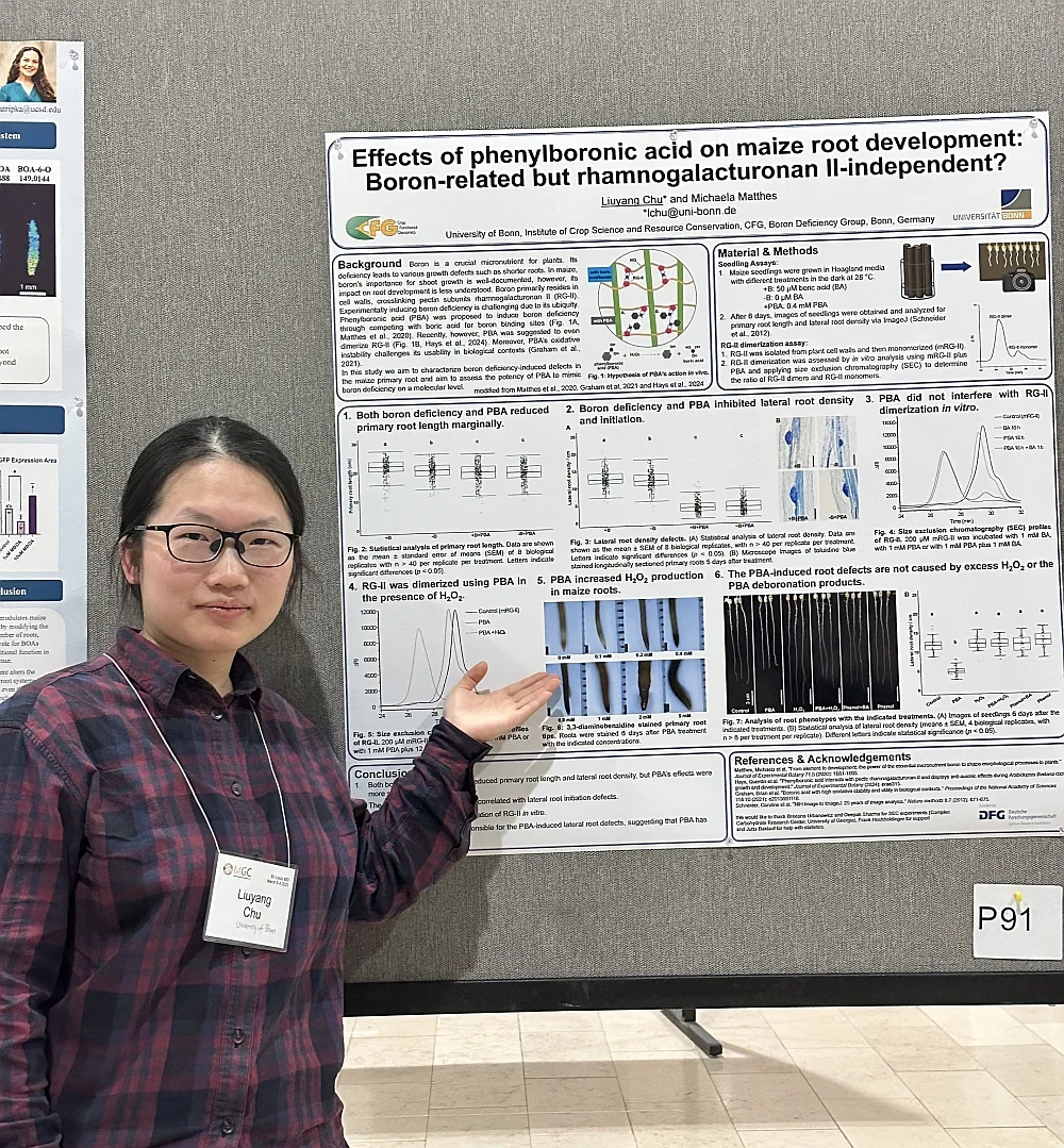 Liuyang Chu presented her poster at the 67th maize genetics conference in St. Louis