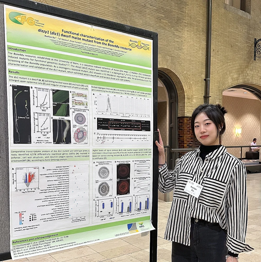 Xuelian Du presented her poster at the 67th maize genetics conference in St. Louis