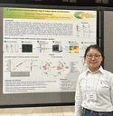 Yaping Zhou presented her poster at the 67th maize genetics conference in St. Louis