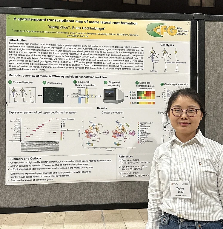 Yaping Zhou presented her poster at the 67th maize genetics conference in St. Louis