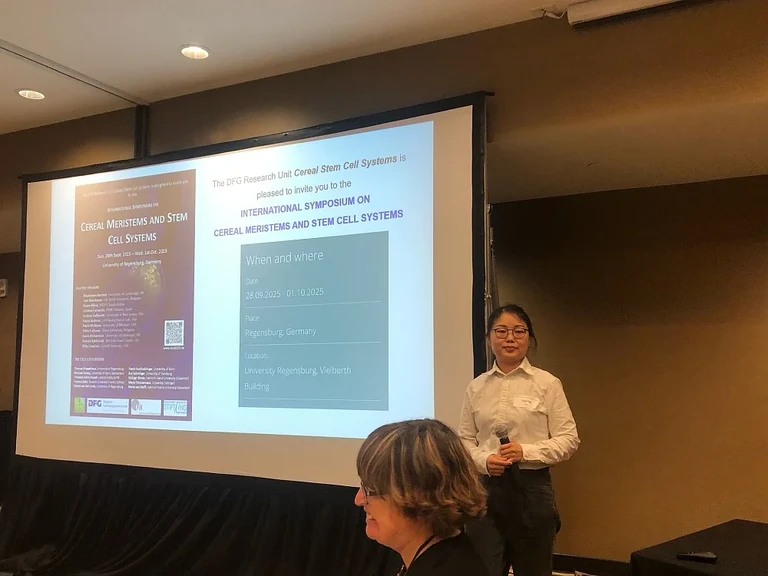 Yaping Zhou gave a talk at the development and cell biology meeting prior to the maize meeting on March 6, 2025.