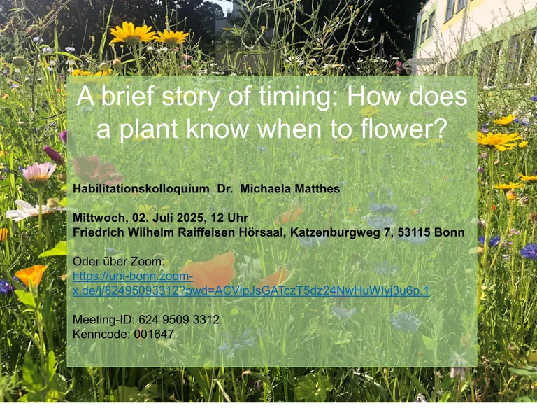 Habilitationskolloquium Dr. Michaela Matthes