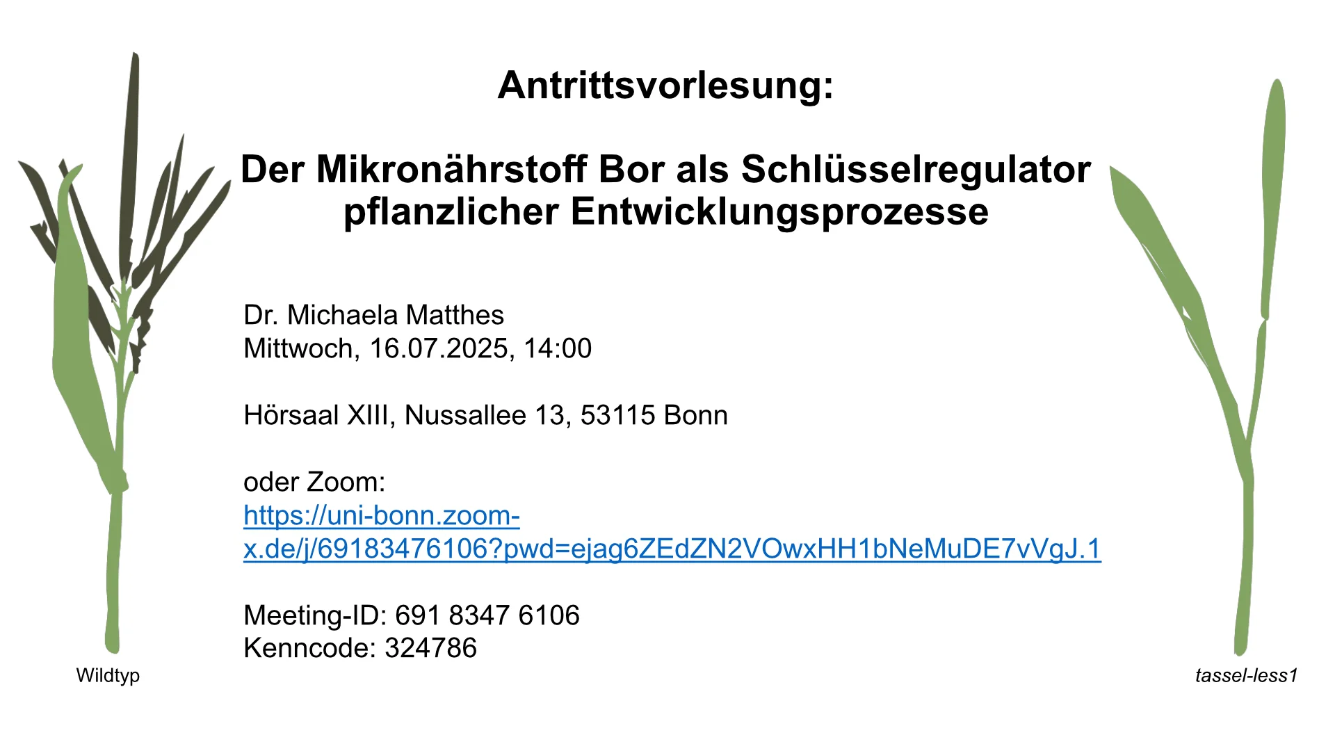 Inaugural lecture by Dr. Michaela Matthes on the topic "Der Mikronährstoff Bor als Schlüsselregulator pflanzlicher Entwicklungsprozesse"