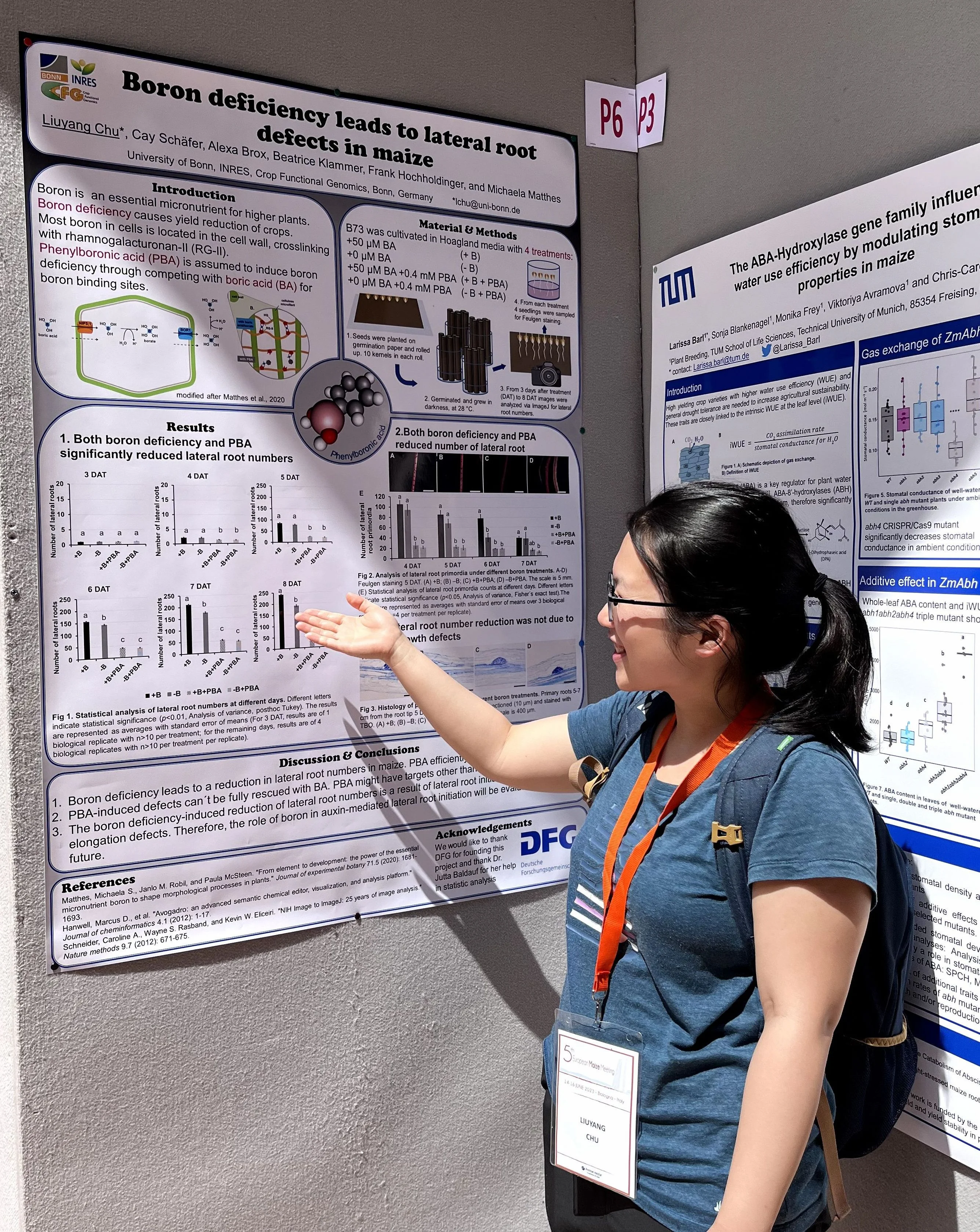 Liuyang Chu presented her work at 5th European Maize Meeting in Bolgona