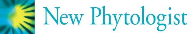 Logo New Phytologist