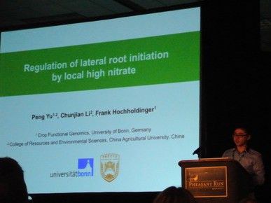 Peng Yu talks at Maize Genetic Conference