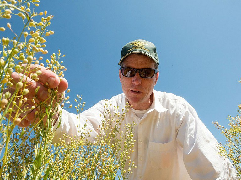 John McKay, professor in the Department of Bioagricultural Sciences and Pest Management at Colorado State University