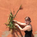 Dr. Gwendolyn K. Kirschner with a barley plant.