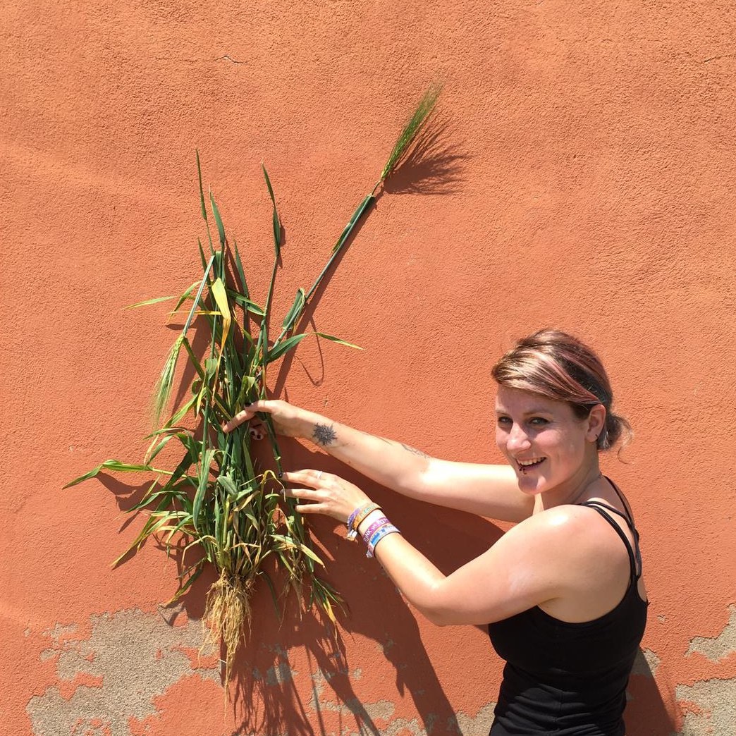 Dr. Gwendolyn K. Kirschner with a barley plant.