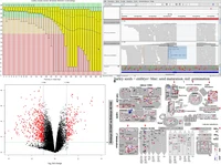 Applied Bioinformatics