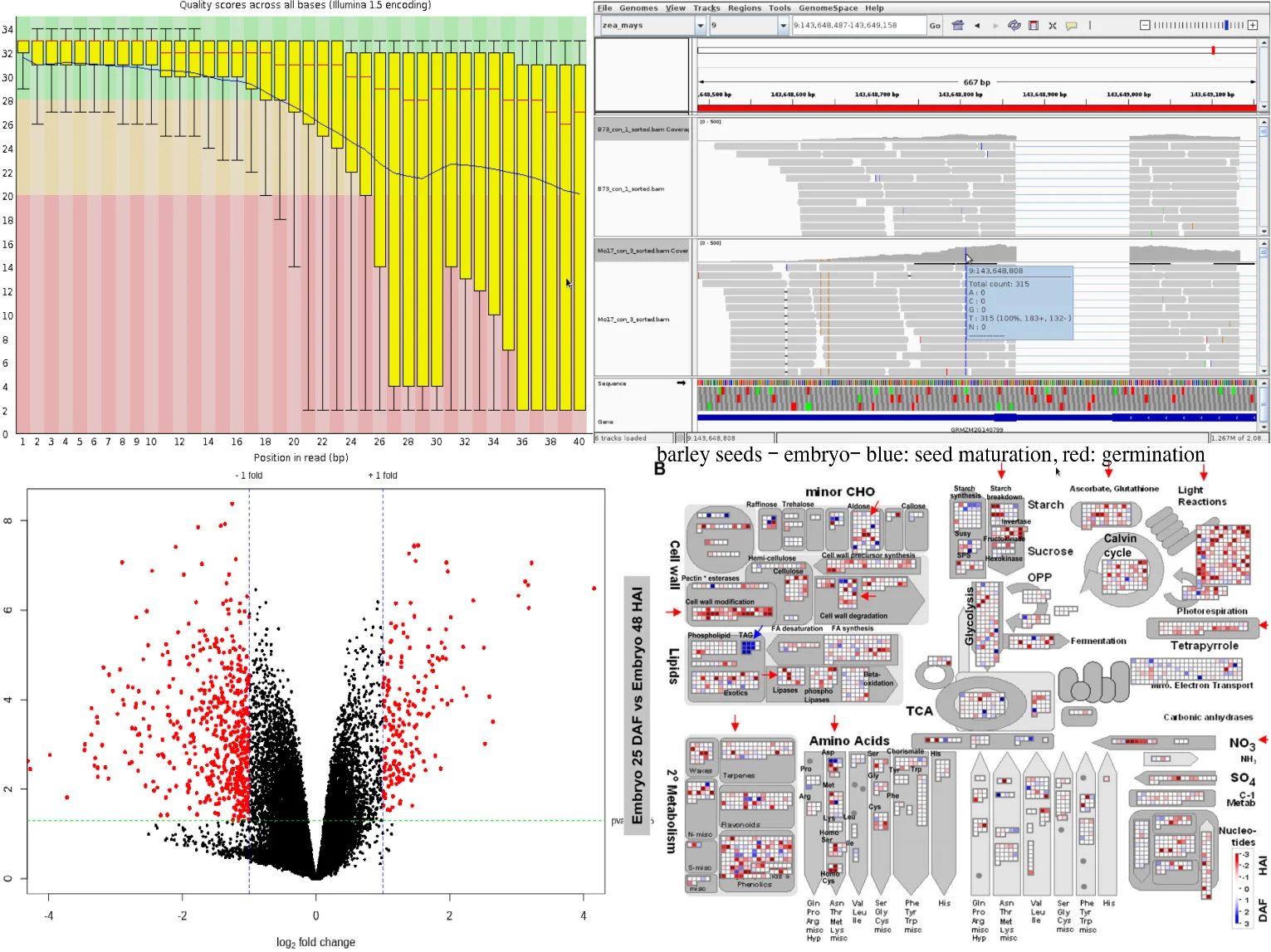 Applied Bioinformatics