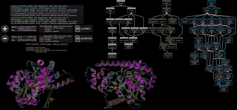Protein Function Prediction