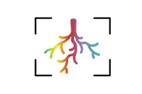 Rhizosphere Spatiotemporal Organisation