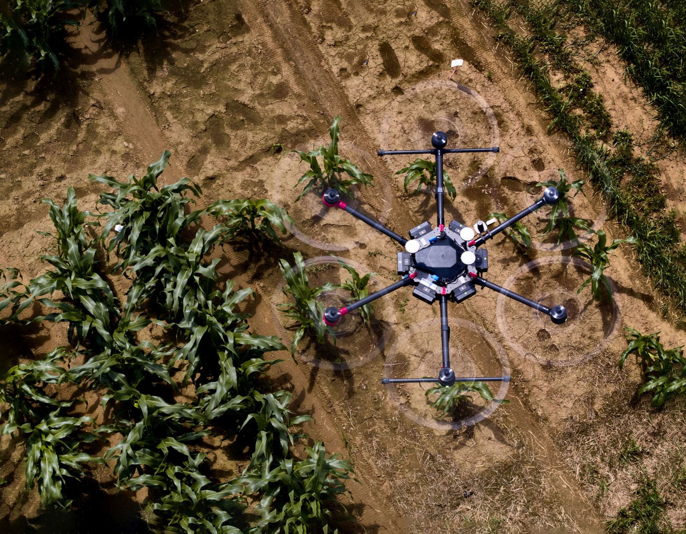 Am Exzellenzcluster PhenoRob der Universität Bonn forschen die Wissenschaftlerinnen und Wissenschaftler unter anderem an Drohnen für die Landwirtschaft.