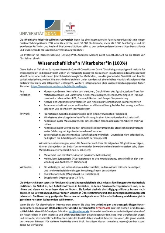 47-23-3-202-WiMi-de 47-23-3-202-WiMi-de
