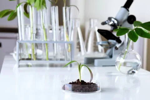 Eine Wissenschaftlerin und ein Wissenschaftler arbeiten hinter einer Glasfassade und mischen Chemikalien mit Großgeräten.