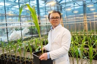 INRES - Crop Functional Genomics