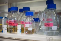 assets-4946-36051-Internet