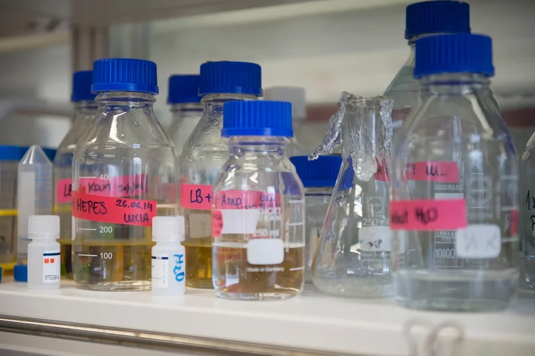 assets-4946-36051-Internet