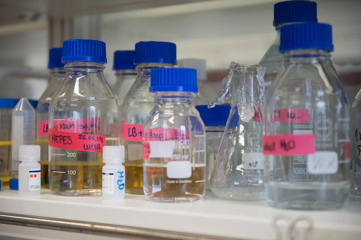 assets-4946-36051-Internet