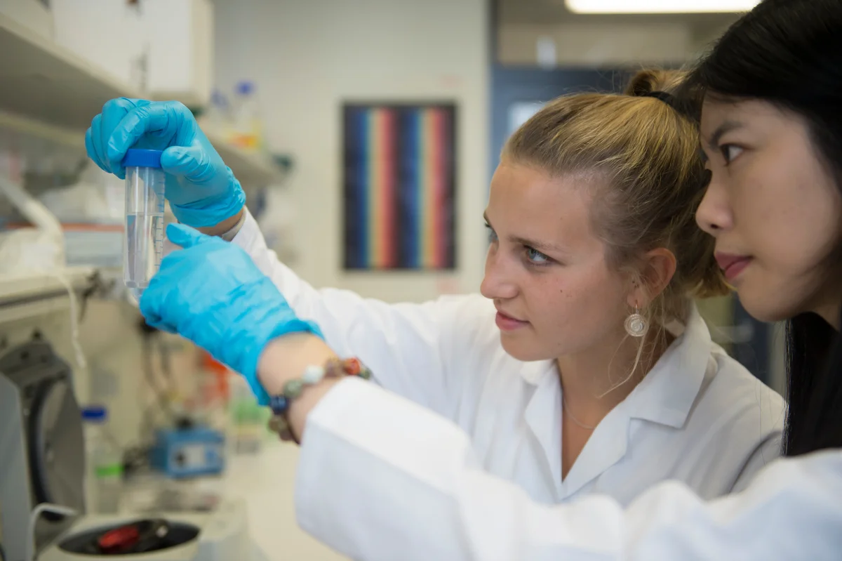 assets-4969-36074-Internet