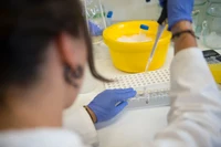 assets-4979-36084-Internet