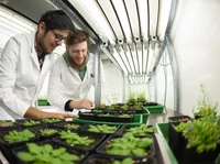 INRES - Chemical Signalling