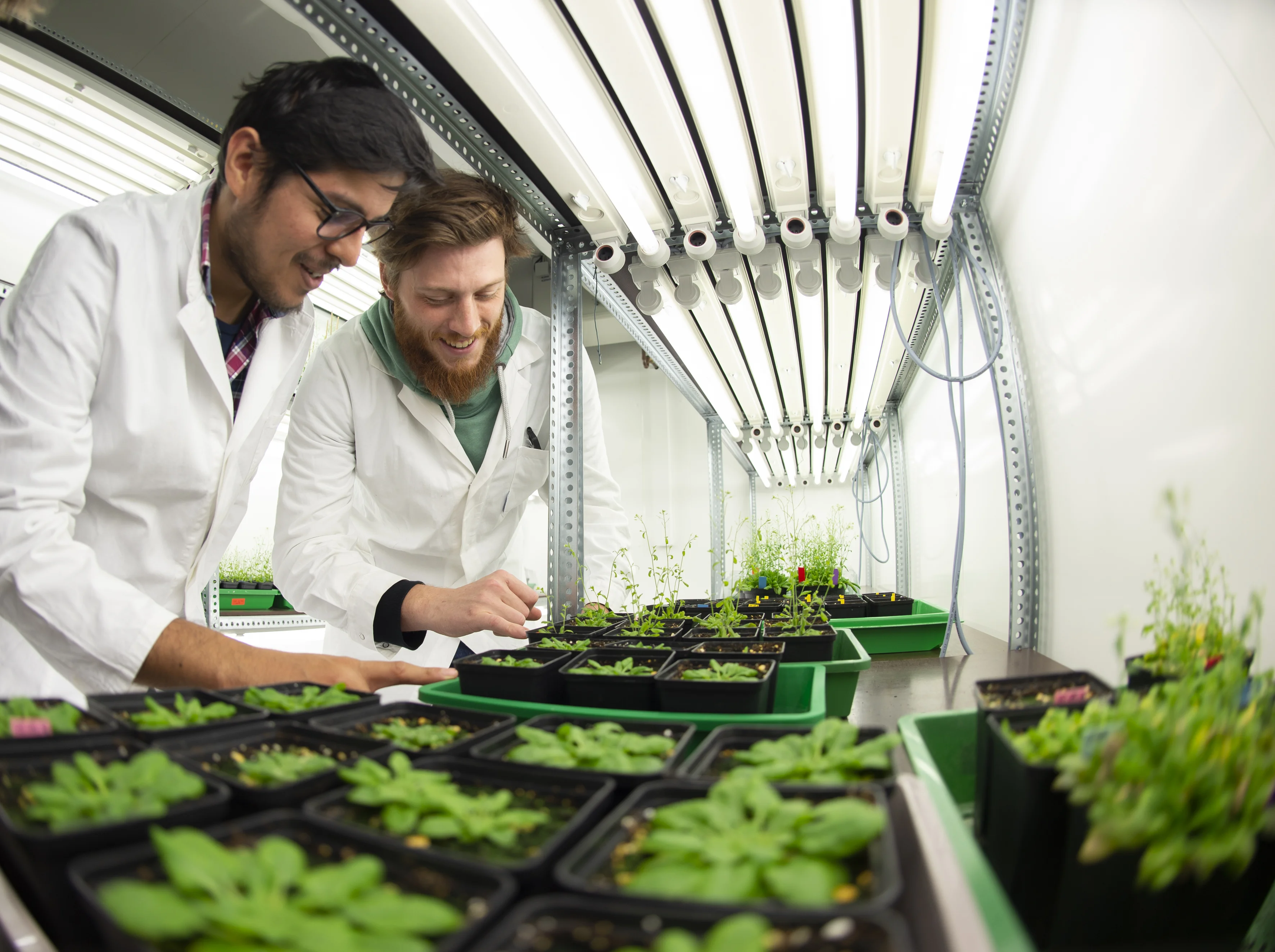 INRES - Chemical Signalling