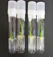 INRES - Pflanzenernährung