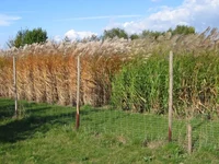 INRES - Nachwachsende Rohstoffe