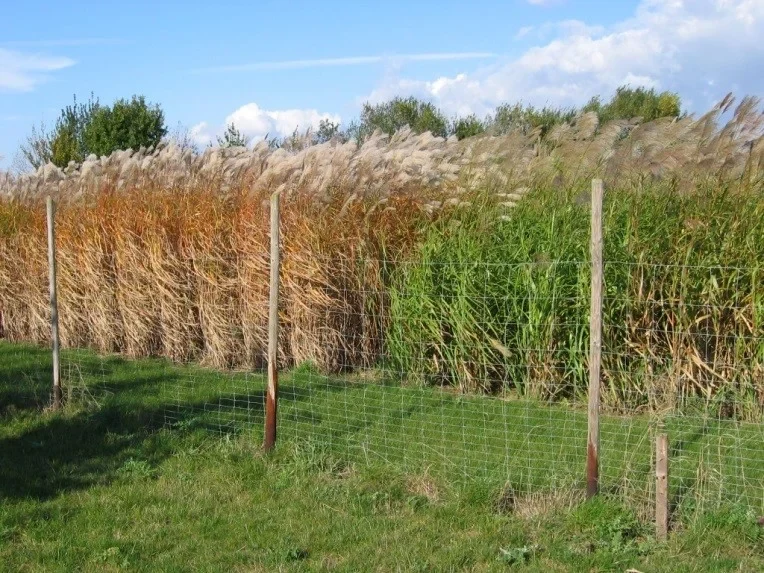 INRES - Nachwachsende Rohstoffe