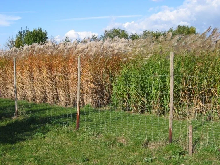 INRES - Nachwachsende Rohstoffe