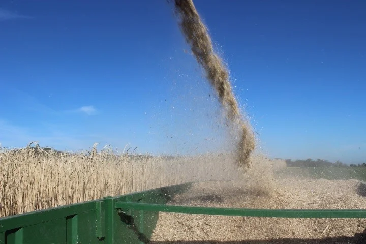 INRES - Nachwachsende Rohstoffe