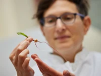 INRES - Crop Functional Genomics