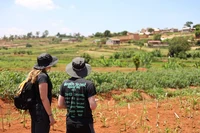 Field preparation in Ambohidratrimo