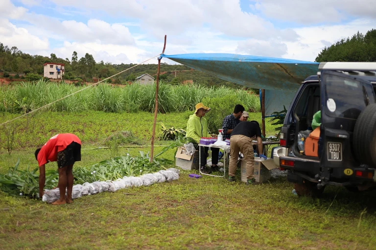 Field work in Ambohidratrimo