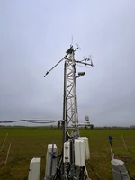 Tower Top and Sonic.jpg