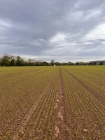 Reinshof Tower and Trailer