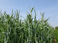 20220503_121443 (1).jpg