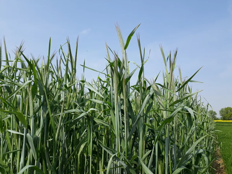 20220503_121443 (1).jpg