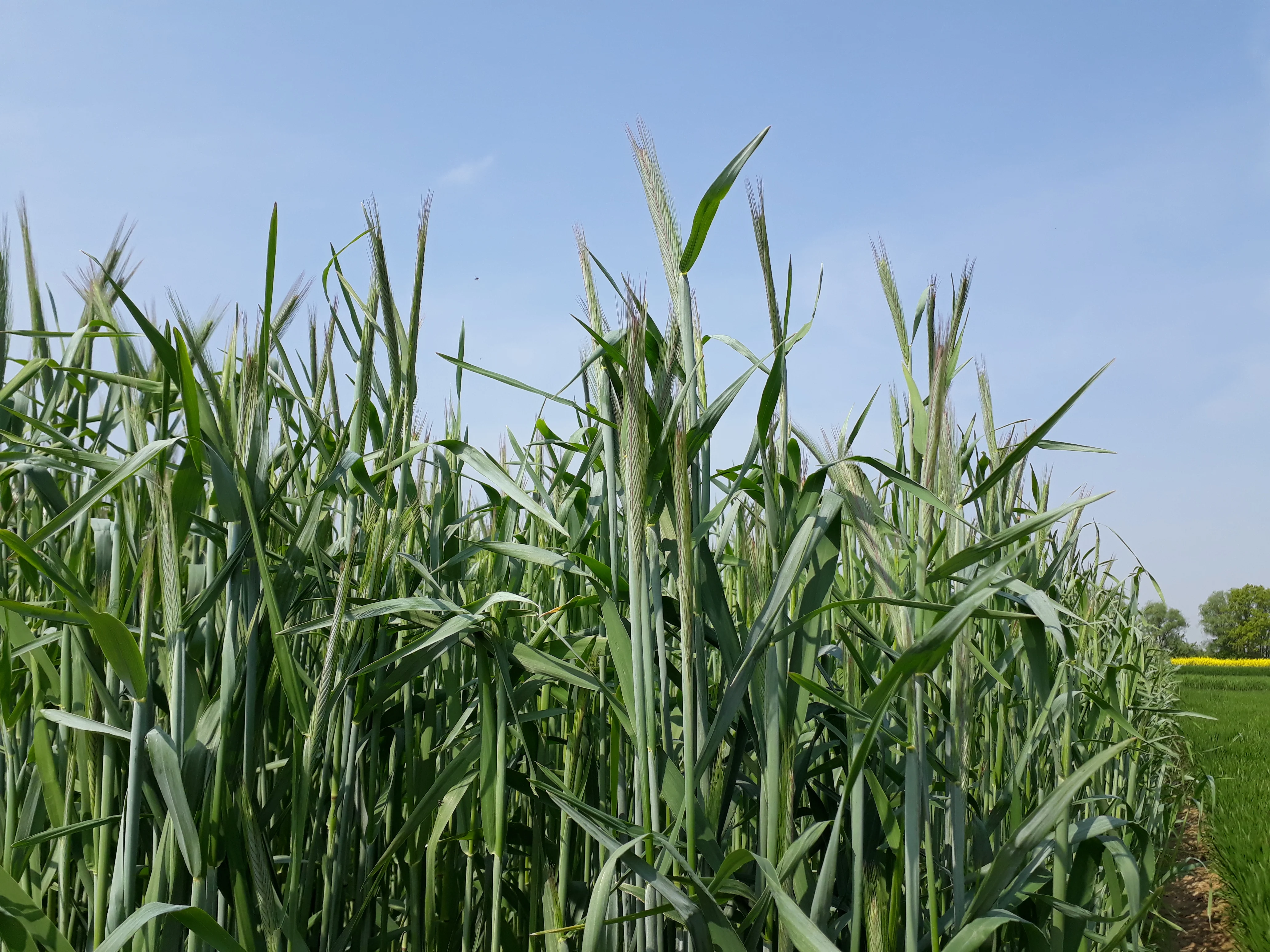 20220503_121443 (1).jpg