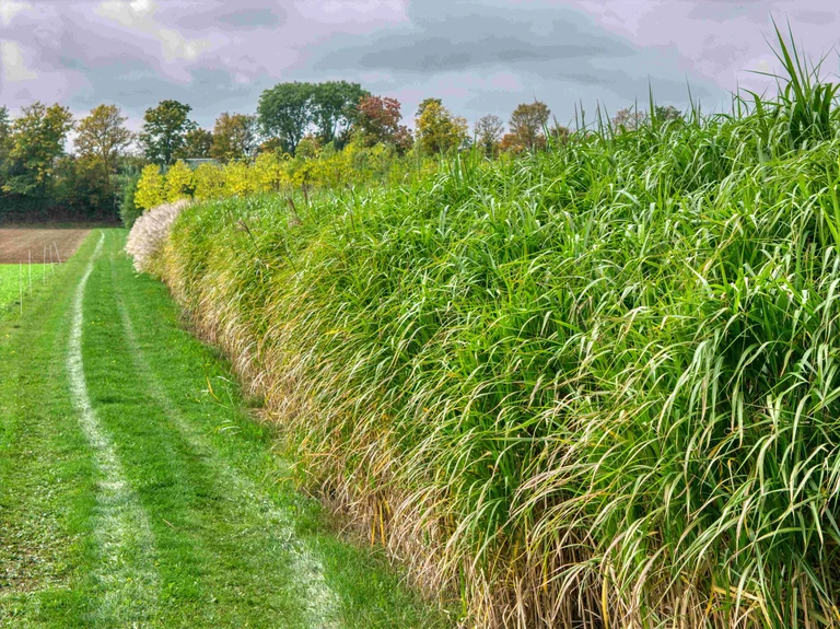 DJI_20251010124919_0040_L2 AC2+.webp