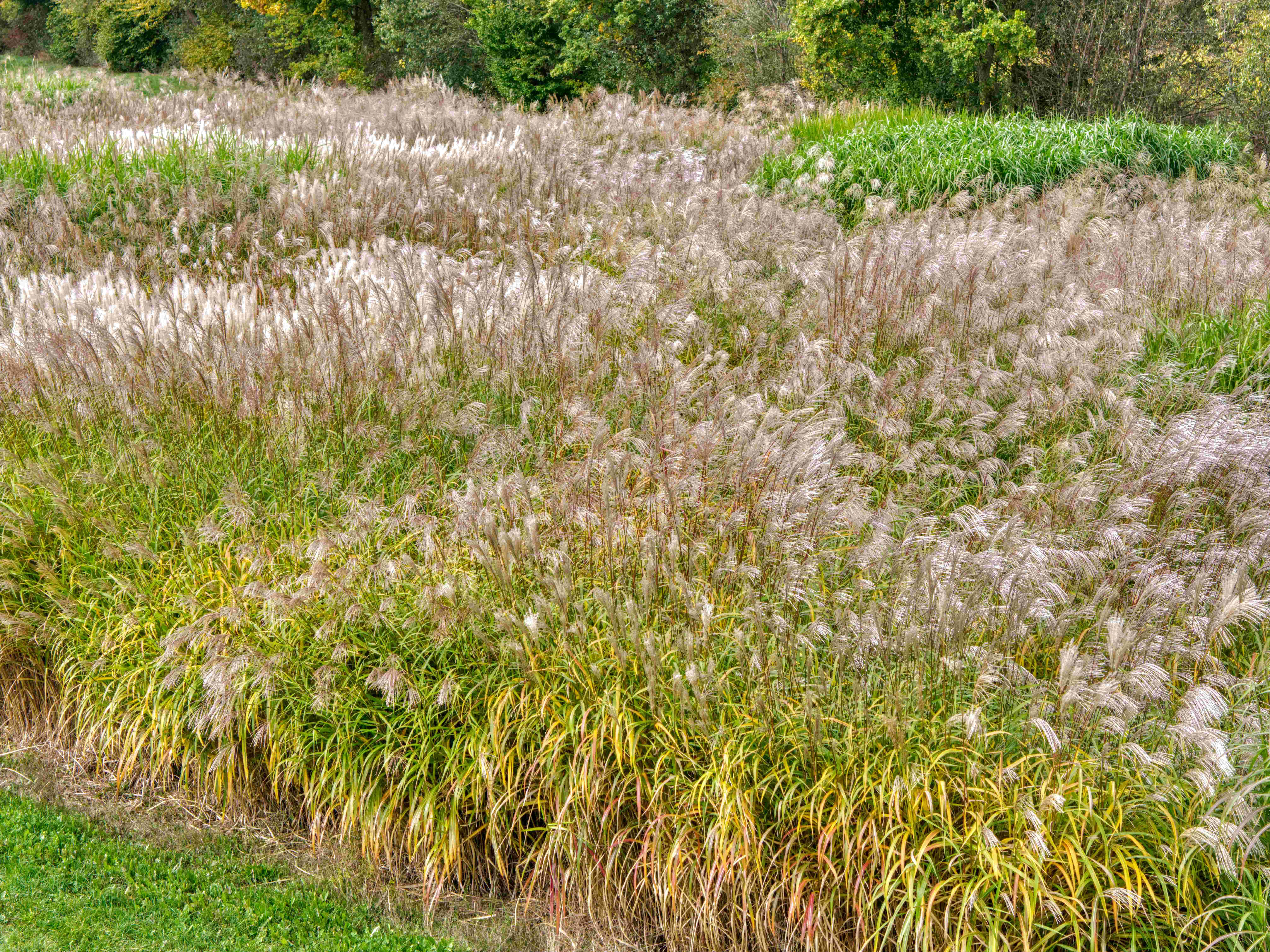 DJI_20251010125052_0052_L2 AC1+.webp