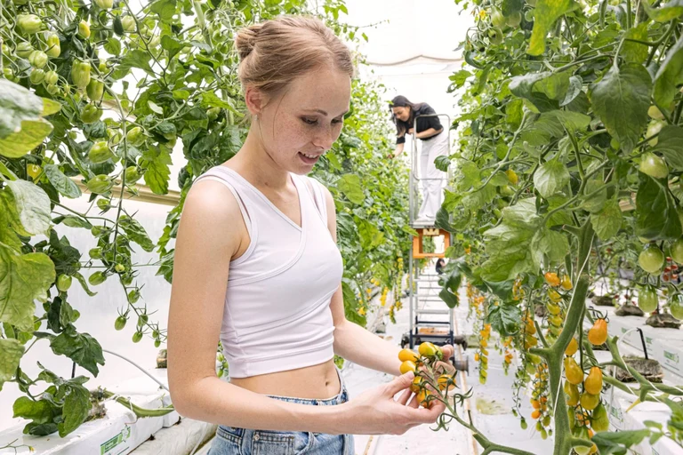 publicpreview (55).webp