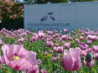 WhatsApp Image 2023-06-04 at 12.25.34.jpeg