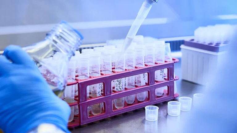 Radioaktive Markierung von Hefedeletionsmutanten